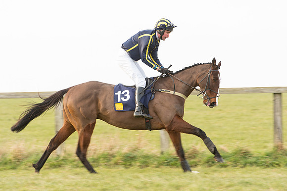 Race 6 Div 1 - Open Maiden  (18 of 116).jpg