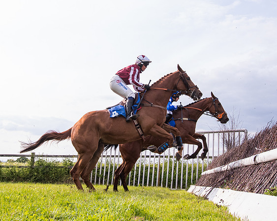 Race 6 - Open Maiden (144 of 346)