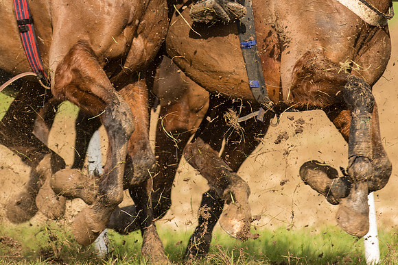 Race 3 - Kent Grand National (41 of 76)-2.jpg