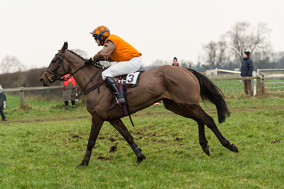 Race 6 - Open Maiden Div 2 (91 of 97).jpg