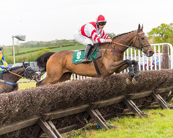Race 7 - Veteran Horse conditions (108 of 244)