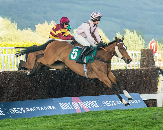Race 5 - Mares Open  (85 of 329)