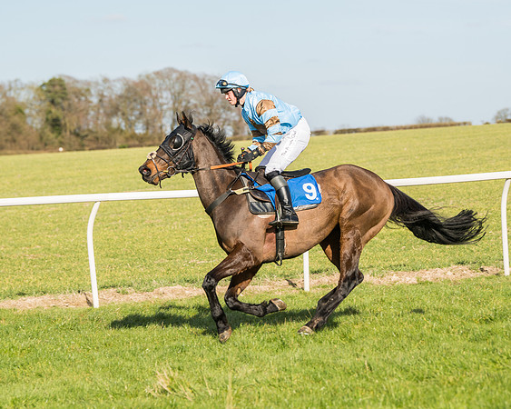 Race 3 - Ladies Open (12 of 156)