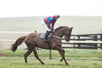 Race 5 - The Intermediate (19 of 59).jpg