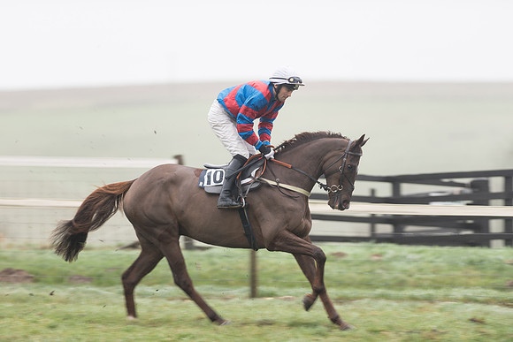 Race 5 - The Intermediate (19 of 59).jpg