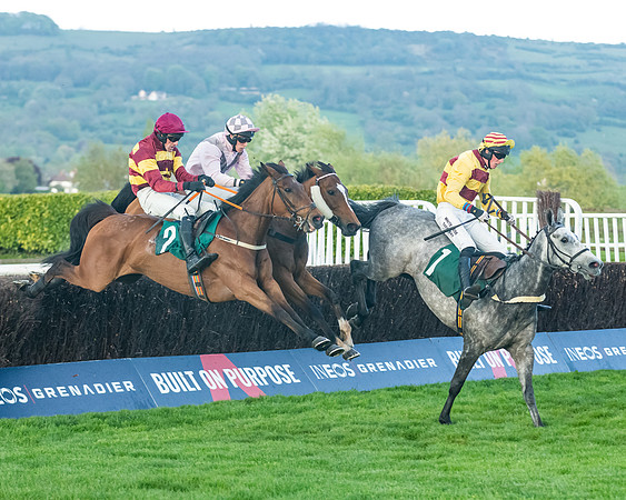 Race 5 - Mares Open  (132 of 329)