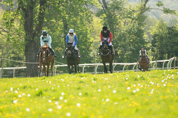 Race 2 - Veteran Horse  (45 of 82)