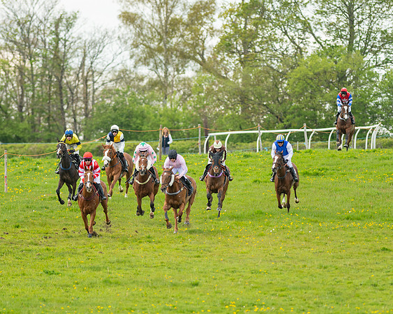 Race 5 - Open Maiden  (12 of 89)