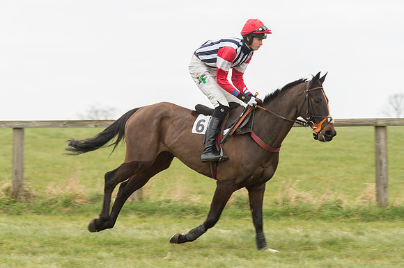 Race 2 - PPORA Novice riders  (32 of 186).jpg