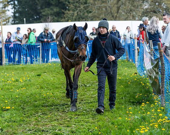 Race 2 - Veteran Horse  (19 of 82)