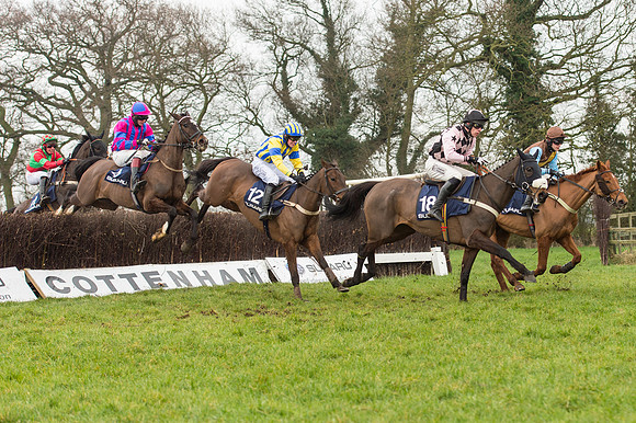 Race 5 - The Restricted Race (54 of 86).jpg
