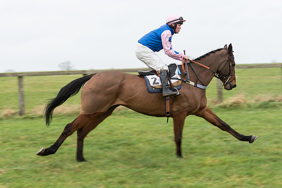 Race 7 - Open Maiden (31 of 131).jpg