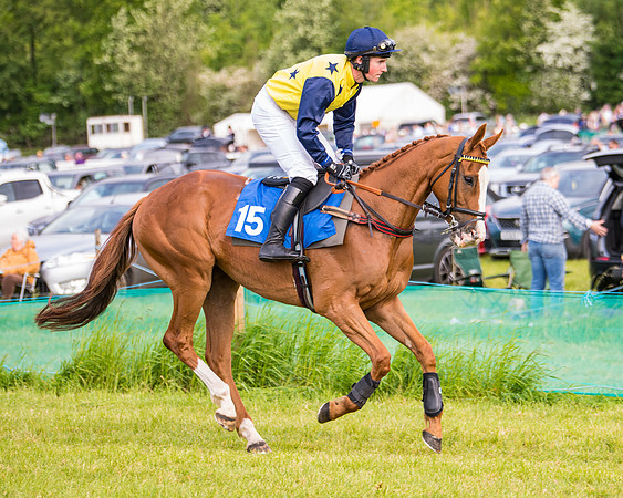 Race 6 - Open Maiden (99 of 346)