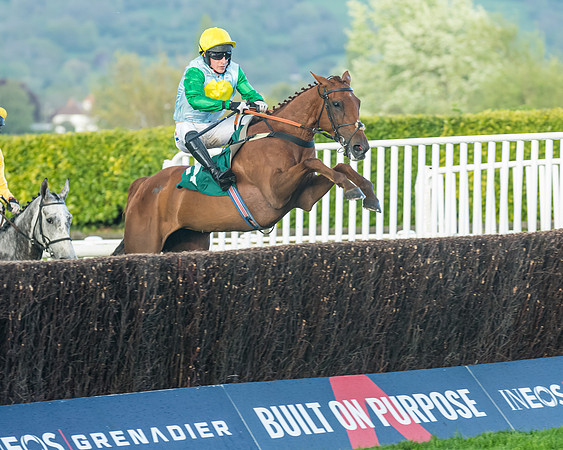 Race 5 - Mares Open  (96 of 329)
