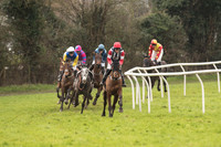 Race 1 - Young Horse Maiden (7 of 50).jpg