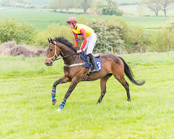 Race 6 - Maiden (23 of 129)