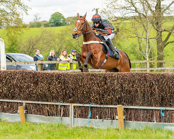 Race 2 - ROR and veteran Horse Conditions race (26 of 77)