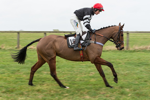 Race 7 - Open Maiden (11 of 131).jpg