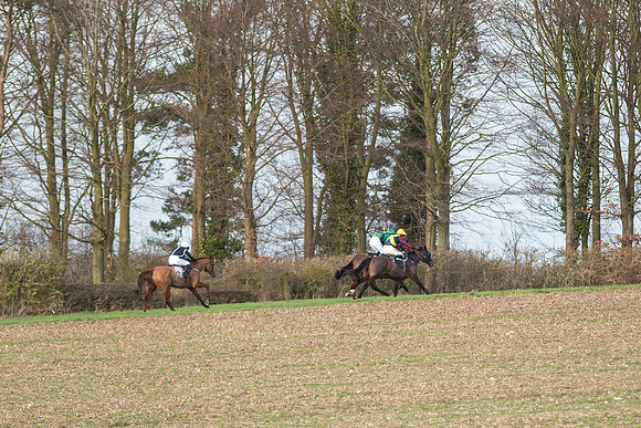 Race 5 - Ladies Open Race (59 of 66).jpg