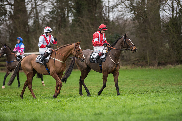Race 5 - Ladies Open Race (15 of 119).jpg