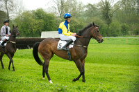 Ponies - 11