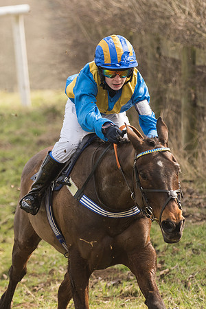 Pony Race 2 -  (17 of 32).jpg