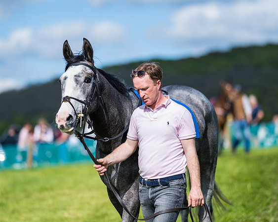 Race 5 - 2m5f Maiden (28 of 144)