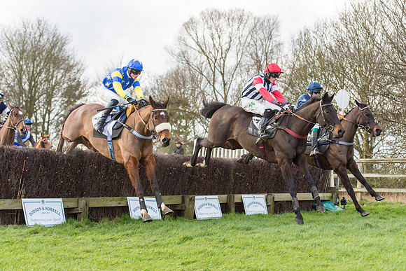 Race 3 - PPORA Members Novice Riders (40 of 84).jpg