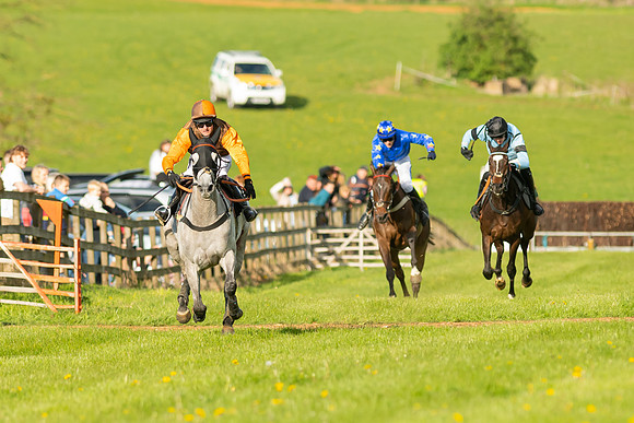 Race 7 - Maiden  (85 of 113)