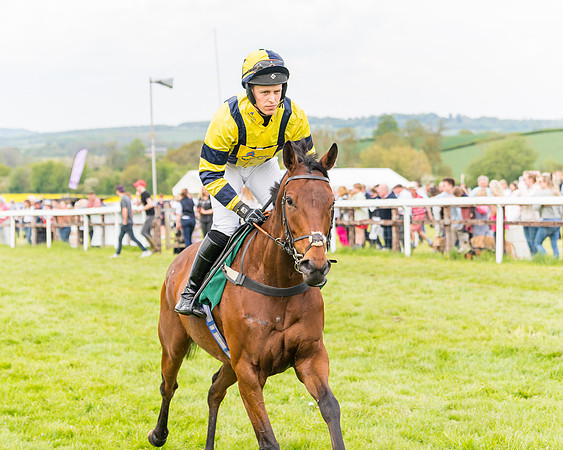 Race 6 = Maiden (69 of 187)