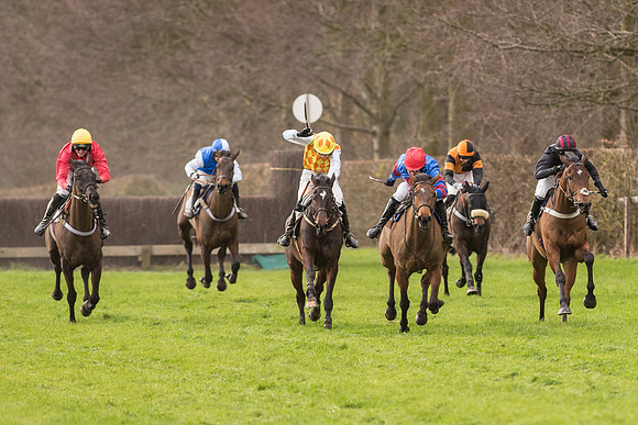 Race 2 - Young Horse Maiden (74 of 110).jpg