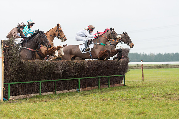 Race 6 - Open Maiden Race Div 1  (38 of 90).jpg
