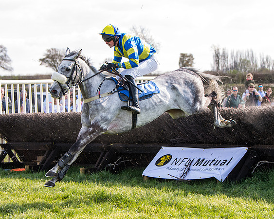 Race 4 - The Warehouse Reit Mixed Open Race  (38 of 124)