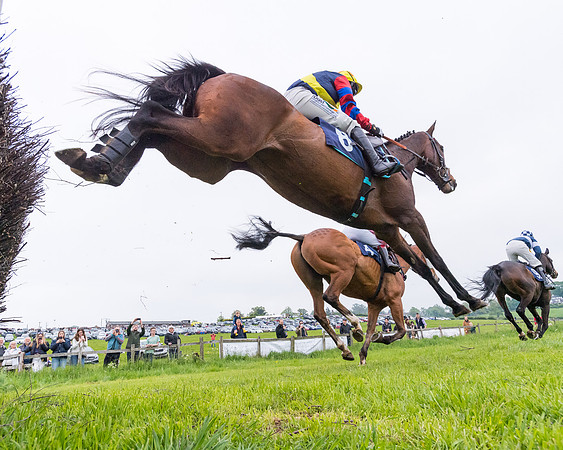 Race 4 - The Ladies Open (56 of 107)