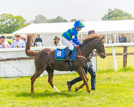 Pony Race 1 - 138cm (2 of 74)