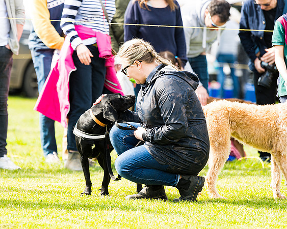 Dog show etc (94 of 157)