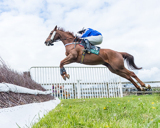 Race 2 - ROR and veteran Horse Conditions race (23 of 77)
