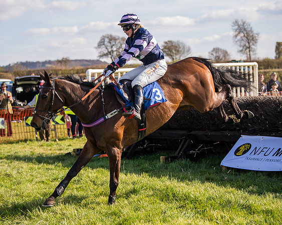 Race 5 - The Waverton Investment Management Ltd Restricted Race farmers and subscribers Race  (119 of 161)
