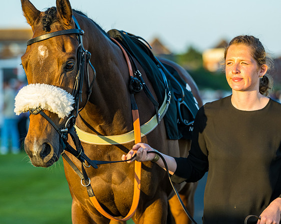 Race 7 - ITM NH Flat Race (30 of 197)