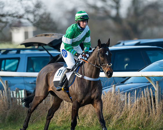 Race 2 - PPORA Novice Riders  (14 of 205)