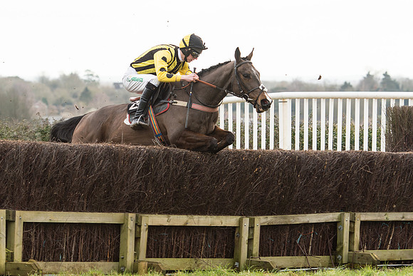 Race 5 - 2M 4F Conditions (35 of 96).jpg