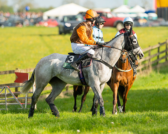Race 7 - Maiden  (34 of 113)