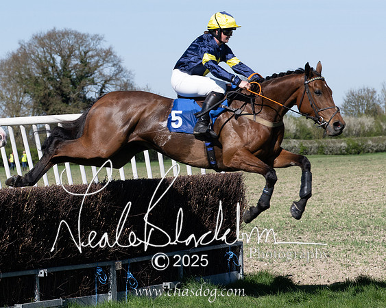 Race 5 - The restricted (49 of 113)