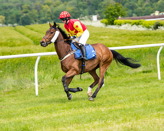 Race 1 - The Little Red owner Trainer conditions (94 of 345)