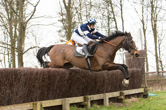 Race 2 - PPORA Novice riders  (96 of 186).jpg
