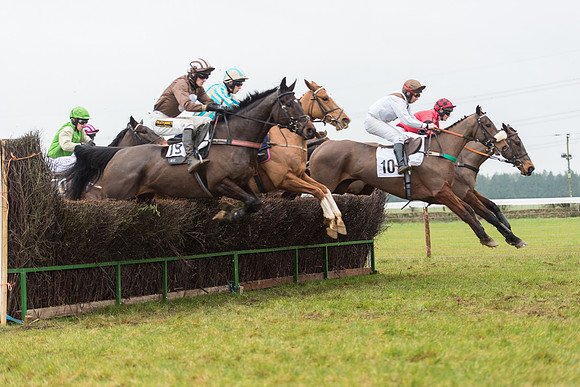 Race 6 - Open Maiden Race Div 1  (40 of 90).jpg