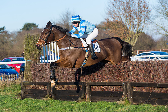 Race 5 - Ladies Open  (127 of 130)