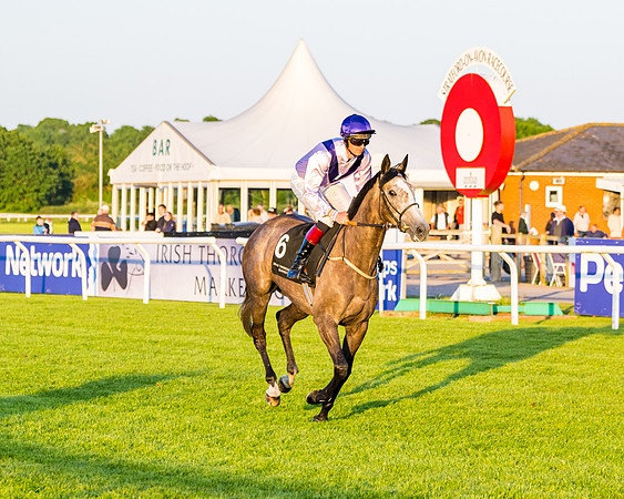 Race 7 - ITM NH Flat Race (55 of 197)