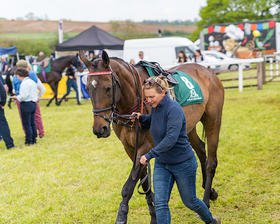 Race 7 - Veteran Horse conditions (25 of 244)