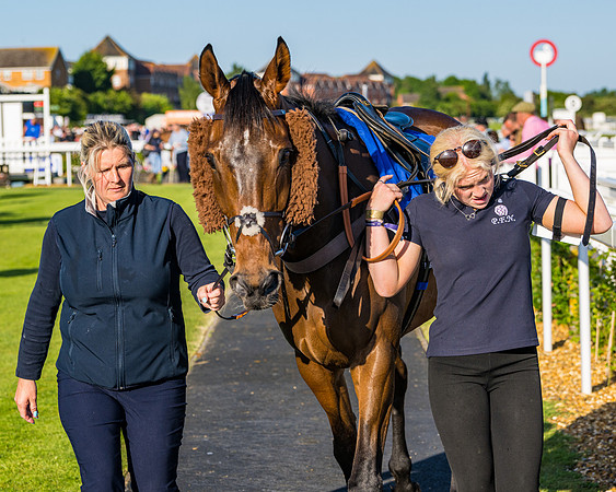 Race 4 - Foxhunters Championship (17 of 175)